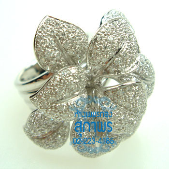 แหวนแฟนซี 11 แหวนแฟนซี 11