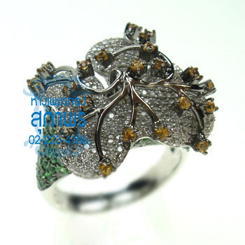 แหวนแฟนซี 25 แหวนแฟนซี 25