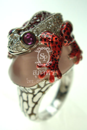 แหวนแฟนซี 37 แหวนแฟนซี 37