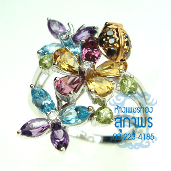 แหวนแฟนซี 41 แหวนแฟนซี 41