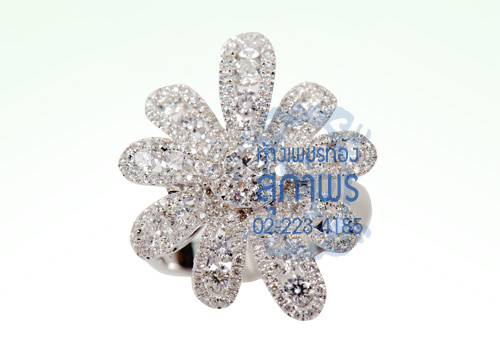 แหวนแฟนซี 44 แหวนแฟนซี 44